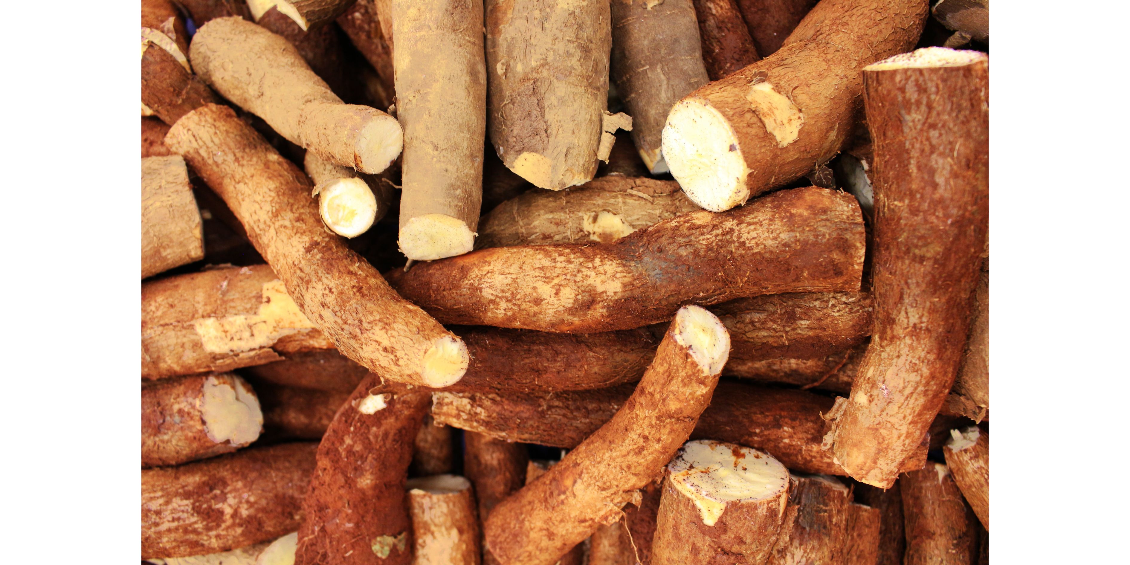 Produits agroalimentaires